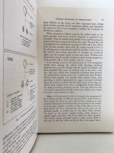 PRINCIPLES OF ANIMAL PRODUCTION