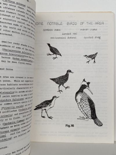 WAINAMU-TE HENGA: A Study