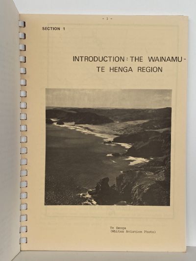 WAINAMU-TE HENGA: A Study