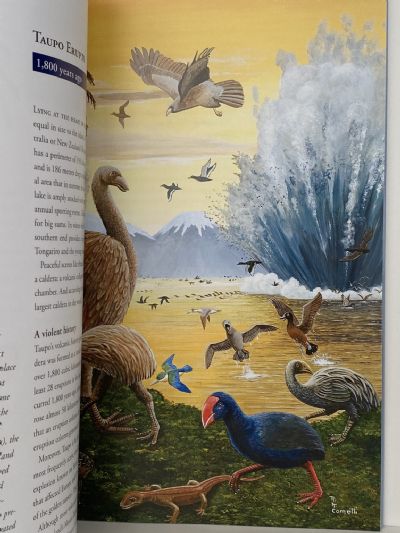 NEW ZEALAND THROUGH TIME: An illustrated journey through 83 million years of natural history