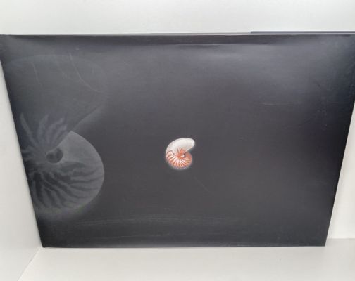INTRODUCING THE NAUTILUS: A Journey into Cornerstone Country
