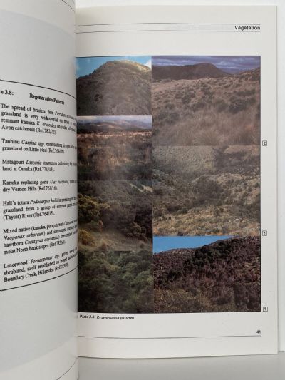 INDIGENOUS VEGETATION: In the Lower Wairau
