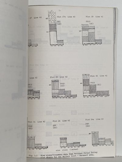 BOTANY DIVISION DSIR REPORT