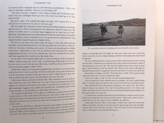 A DUCKHUNTER'S TALE: Wildfowling in New Zealand