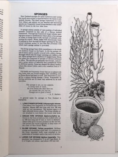 NATIVE ANIMALS OF NEW ZEALAND: Handbook of Zoology