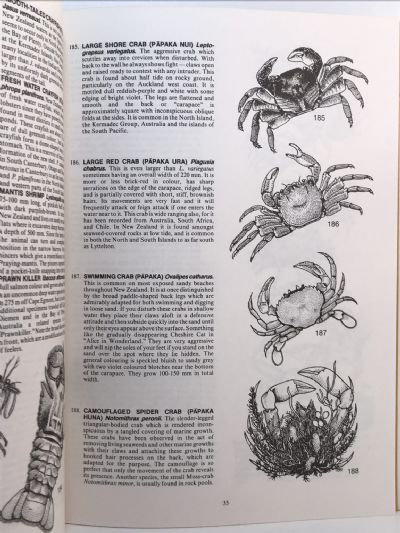 NATIVE ANIMALS OF NEW ZEALAND: Handbook of Zoology