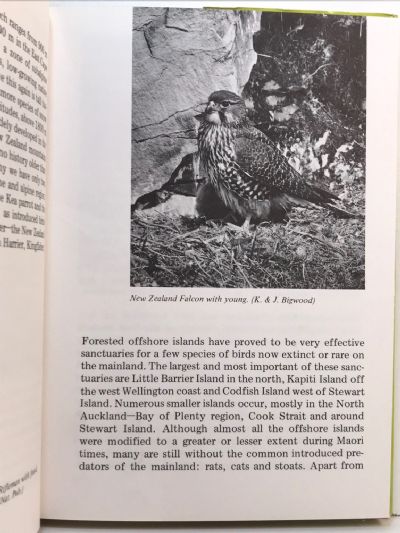 BIRDS IN NEW ZEALAND