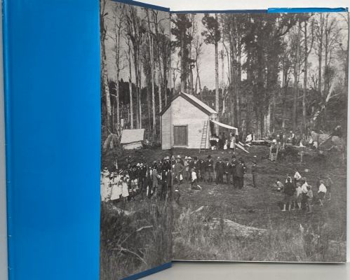 WAITANGURU: The great transformation
