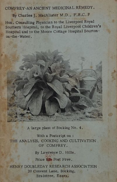 COMFREY: An Ancient Medicinal Remedy