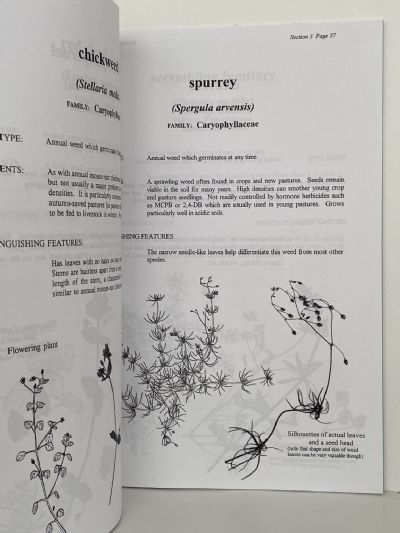 COMMON PLANTS IN NEW ZEALAND AGRICULTURE
