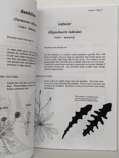 COMMON PLANTS IN NEW ZEALAND AGRICULTURE