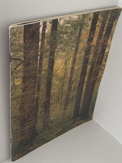 BEECH FORESTS