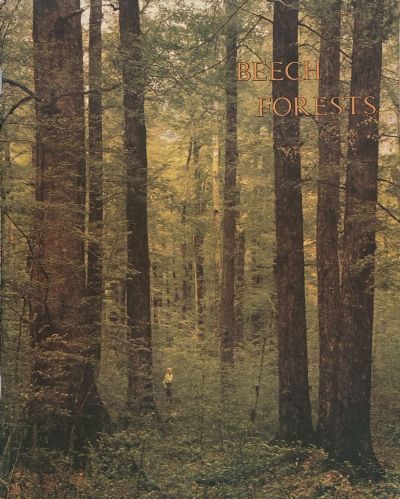 BEECH FORESTS
