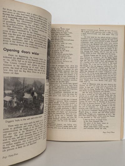 HISTORY OF THE RIVER THAMES NZ