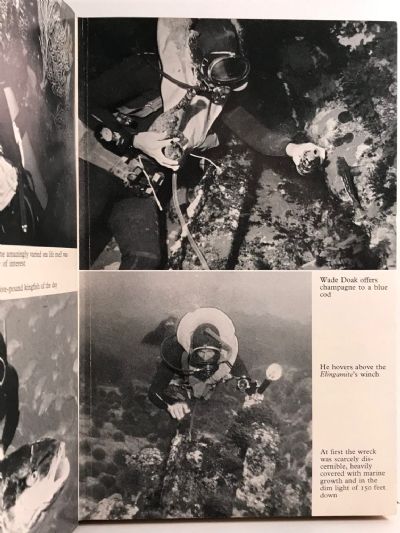 THE ELINGAMITE AND ITS TREASURE
