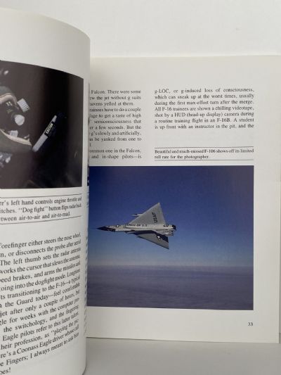 AIR GUARD: America's Flying Militia