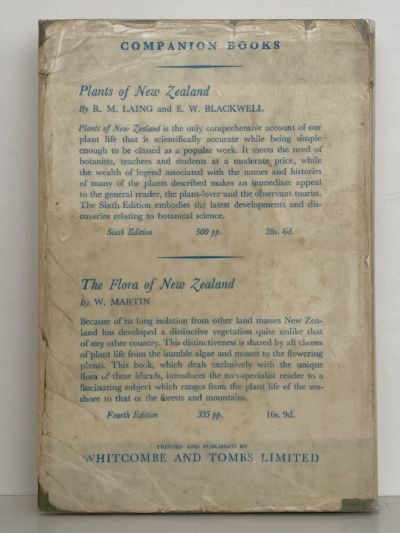 NEW ZEALAND BIRDS and How to Identify Them
