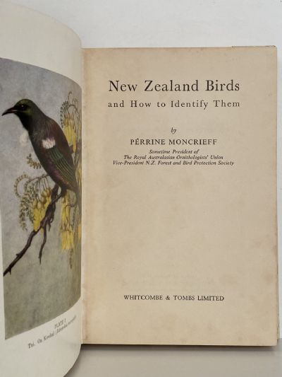 NEW ZEALAND BIRDS and How to Identify Them