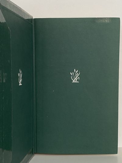 WILD IRISHMAN: The Story of Bill Hamilton