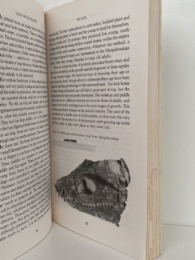 VALLEY OF THE DRAGONS: The Story of New Zealand's Dinosaur Woman