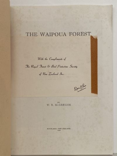 THE WAIPOUA KAURI FOREST of Northern New Zealand -  The Last Virgin Kauri Forest of New Zealand