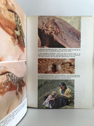 THE TUATARA LIZARDS AND FROGS OF NEW ZEALAND