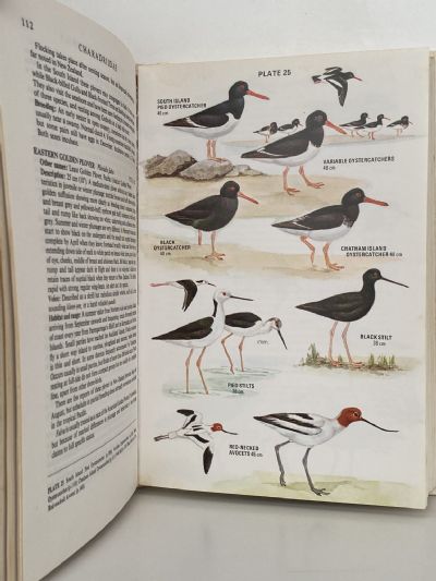 A NEW GUIDE TO THE BIRDS OF NEW ZEALAND: A Complete Guide
