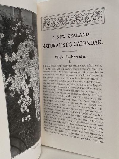 A NEW ZEALAND NATURALIST'S CALENDAR 1909