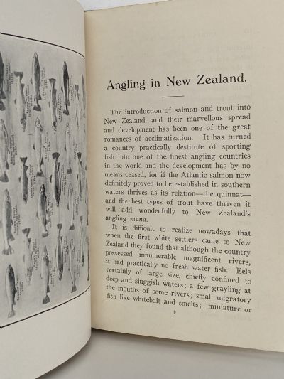 ANGLING IN NEW ZEALAND