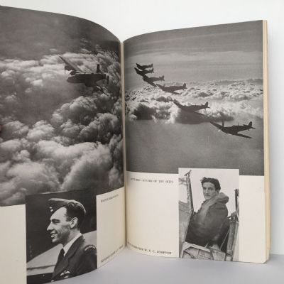 NEW ZEALANDERS IN THE AIR WAR