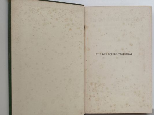 THE DAY BEFORE YESTERDAY: History of the Bay of Islands