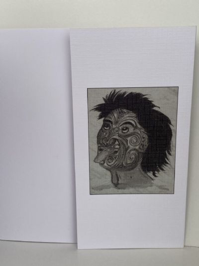 JOHN WEBSTER'S MAORI JOURNAL 1847