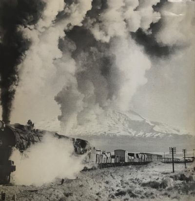 NEW ZEALAND STEAM Spectacular