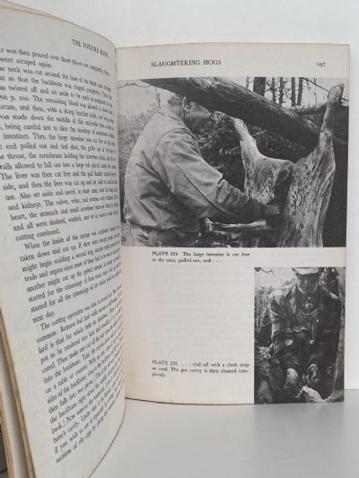 THE FOXFIRE BOOK