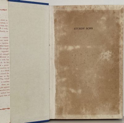 STURDY SONS: The Story of an Early New Zealand Family