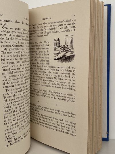 STURDY SONS: The Story of an Early New Zealand Family