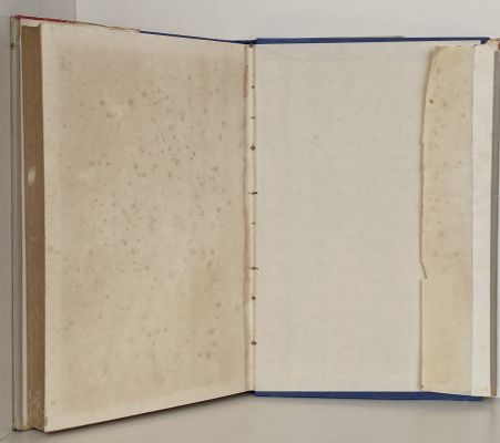 STURDY SONS: The Story of an Early New Zealand Family