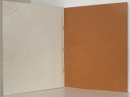 A WEIRD REGION: Eruption of Mt. Tarawera in 1886
