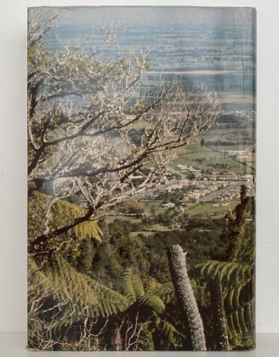 LAND OF THE THREE RIVERS: A Centennial History of Piako County