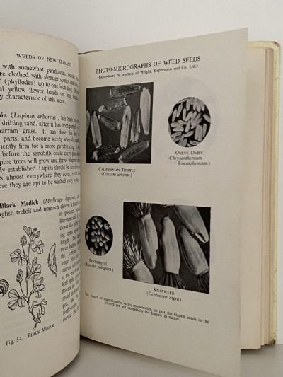 WEEDS OF NEW ZEALAND: And How to Eradicate Them