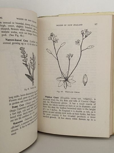 WEEDS OF NEW ZEALAND: And How to Eradicate Them