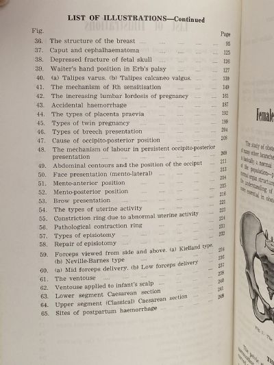 INTRODUCTION TO OBSTETRICS: Fourth Edition