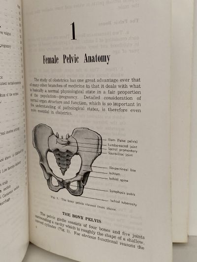 INTRODUCTION TO OBSTETRICS: Fourth Edition