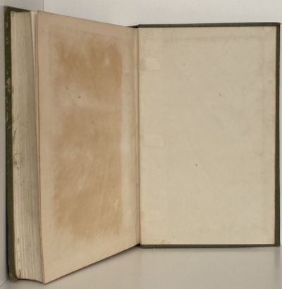 FUNGOUS DISEASES OF FRUIT-TREES