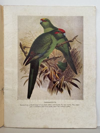 FAMOUS MAORI SONGS: Maori Song and Picture Album