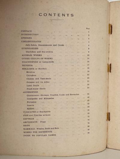 NATIVE ANIMALS OF NEW ZEALAND: Handbook of Zoology