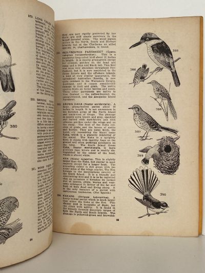 NATIVE ANIMALS OF NEW ZEALAND: Handbook of Zoology
