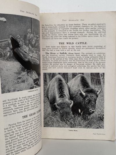 ZOOLOGICAL PARK: The Auckland City Council Official Guide 1953