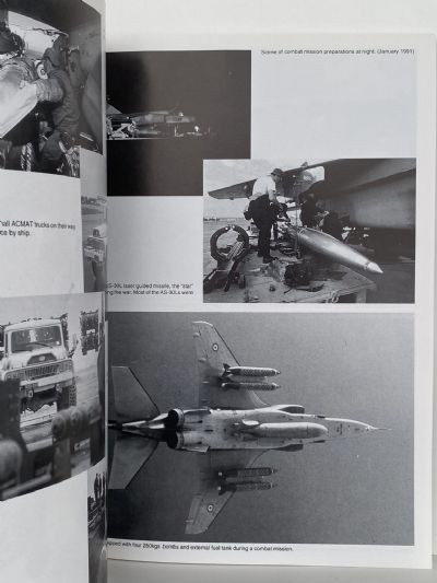 OPERATION DAGUET: French Air Force in the Gulf War