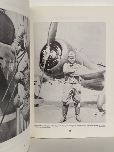 JAPANESE ARMY AIR FORCE CAMOUFLAGE AND MARKINGS WORLD WAR II
